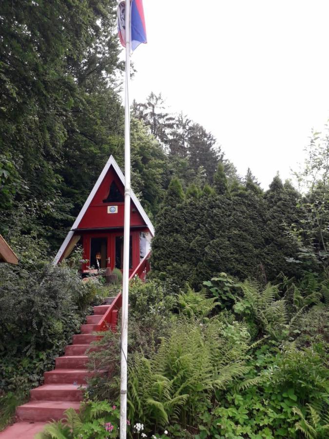 Ferienhaus Sommerland Auszeithuette Freyung Exterior photo